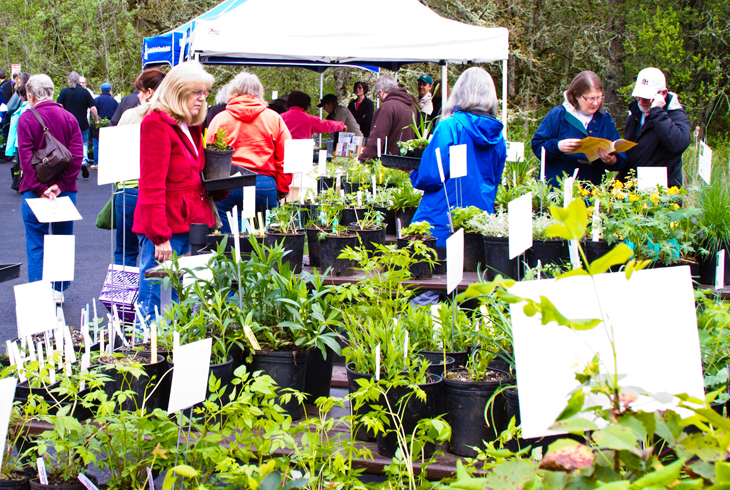 Tualatin Hills Nature Center to host Spring Native Plant Sale April 25